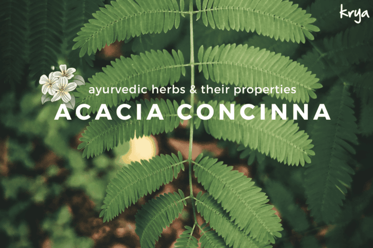 acacia concinna benefits