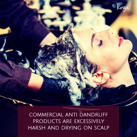 persisitent dandruff: synthetic shampoos are excessively drying and irritating