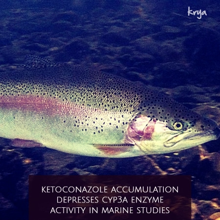 Ketoconazole depresses CYP3A enzyme activity
