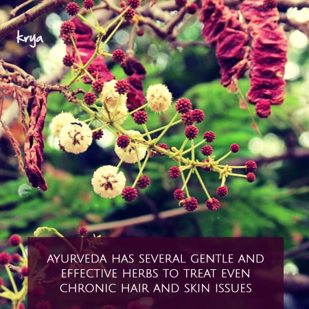 Ayurveda has many efefctive herbs to treta chronic skin and hair conditions