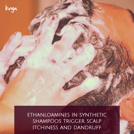 Ethanolamines in shampoos trigger contact dermatitis and persistent dandruff