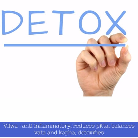 benefits of bael - internal detox, removes ama, balances vata and kapha