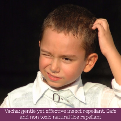 benefits of lice: good insect repellent