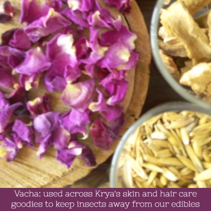 benefits of vacha - used across krya's skin care products
