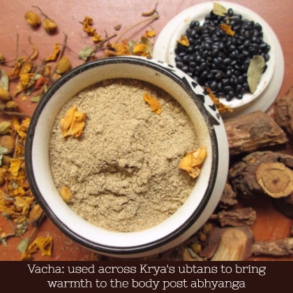 benefits of vacha - brings in warmth and vata balance