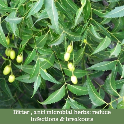 Bitter atsringent and anti bactreial herbs are excellet for pitta aggravated skin
