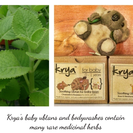 Krya's baby cleansers conatin rare medicinal herbs that are good for baby