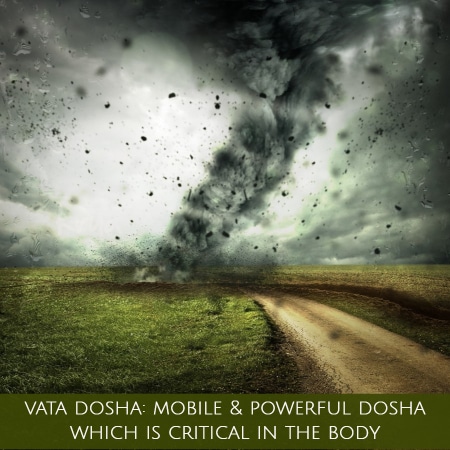 5 ways to control aggravated vata dosha: Vata dosha is powerful and a mobile dosha