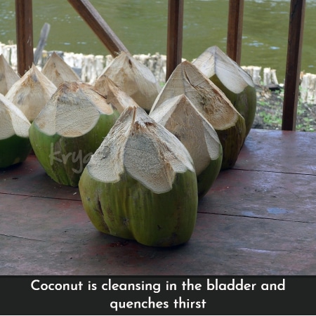 Cold pressed virgin coconut oil analysis: Coconut is bladder cleansing