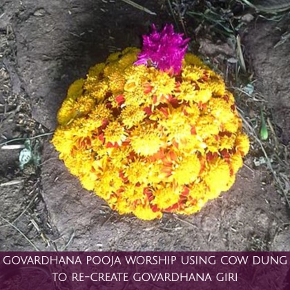 Cow dung was used in ancient India to cleanse homes and floors and infuse positive energy within the home