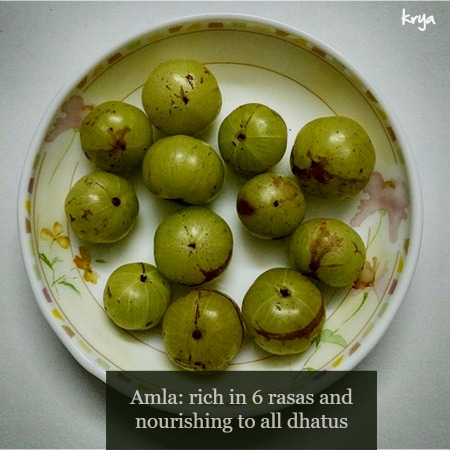 Amla - excellent addition to daily diet
