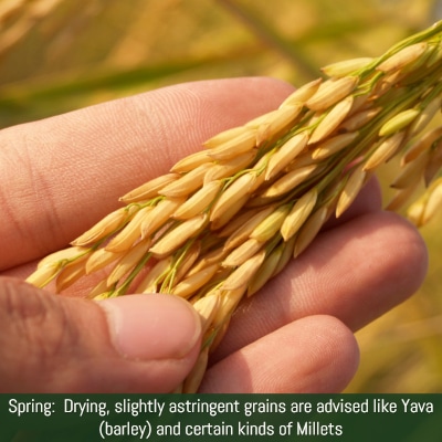 Vasanta Ritucharya: drying grains liek millets and Yava (barley) should be added to diet