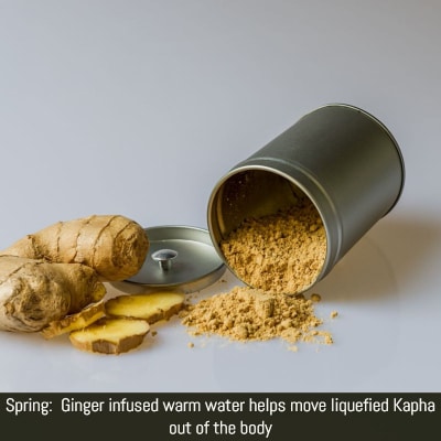 Dried ginger is an important spice suggested for Vasanta Ritu