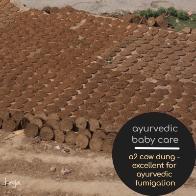 ayurvedic baby care practices: using cow dung for air purification