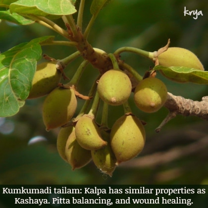 Kalpa used in Kumkumadi tailam also has pitta balancing, wound healing and inflammation reducing effect