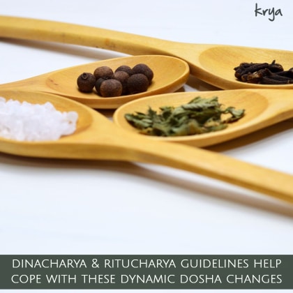 Dinacharya and Ritucharya guidelines help cope with dynamic dosha changes