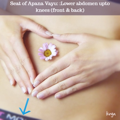 Lower abdomen is the seat of apana vayu