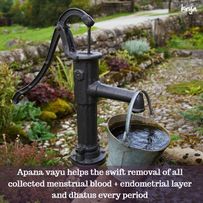 Apana vayu helps the removal of menstral waste efficiently and quickly