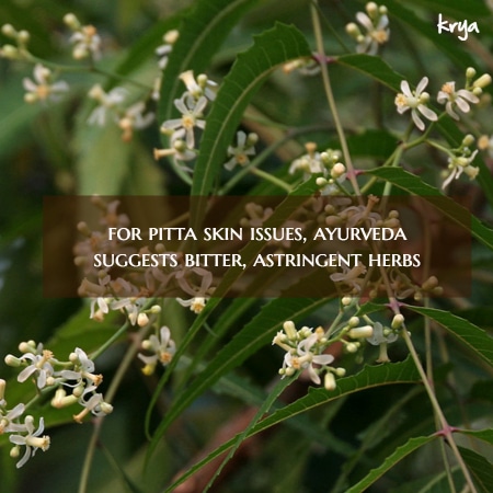 Pitta skin should be balanced with bitter and astringent herbs