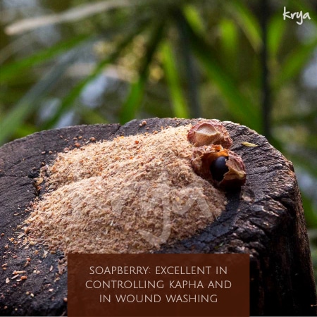 benefits of soapberries - kapha balance and wound wahsing - acharya bhavamishra