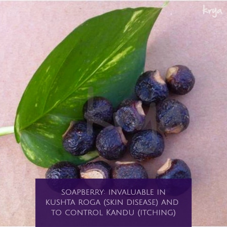 benefits of soapberries - improves skin healing and reduces itching