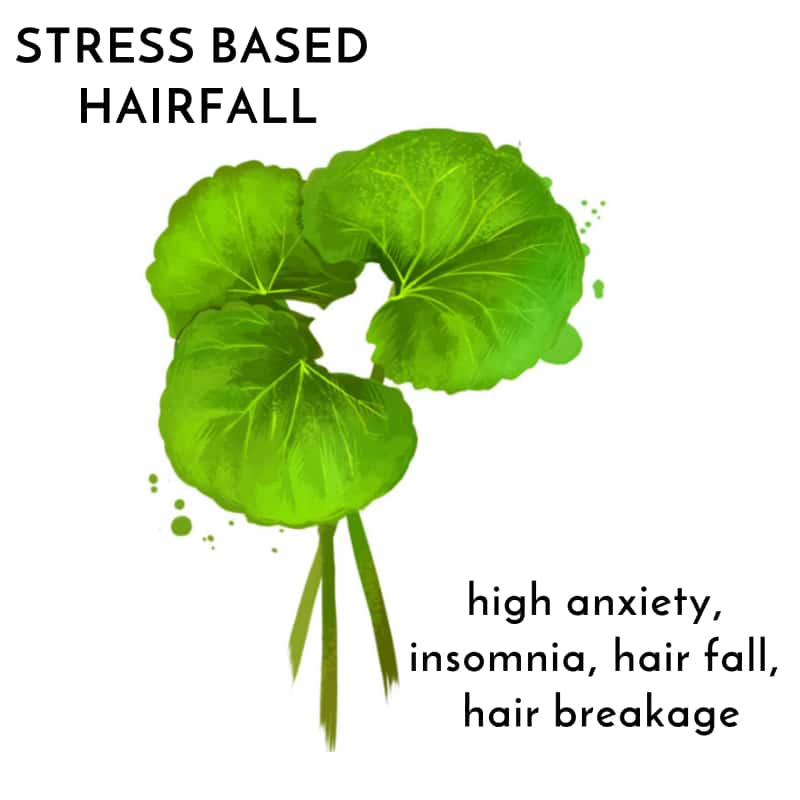 Stress Related Hair fall