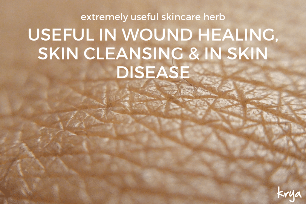 shikakai is an excellent skin care herb