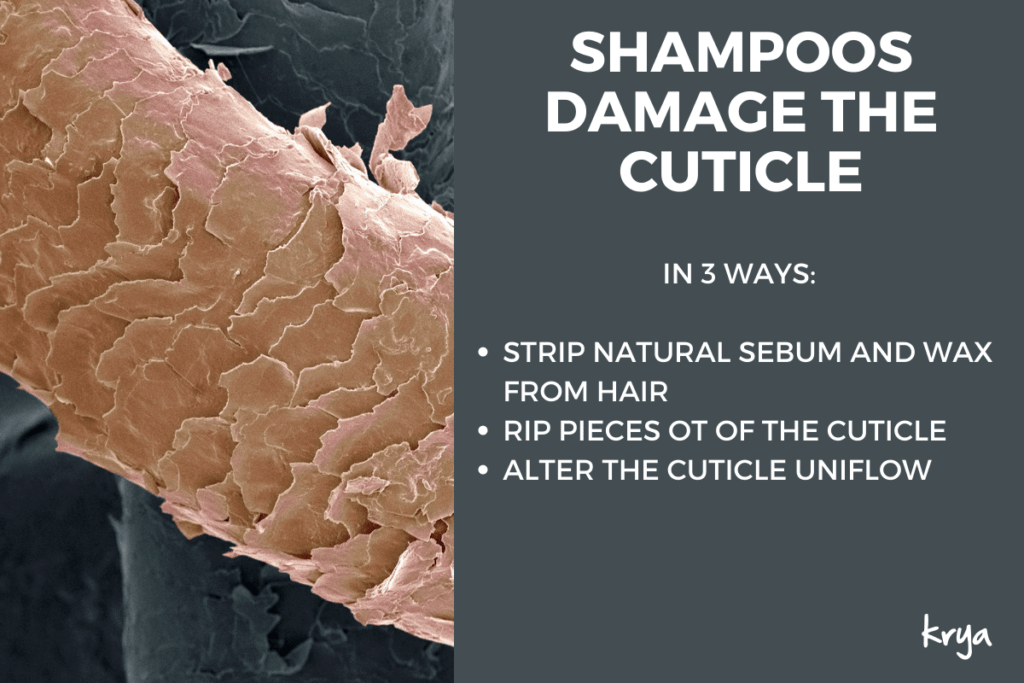 shampoos damage the cuticle bringing in the need to use a synthetic conditioner