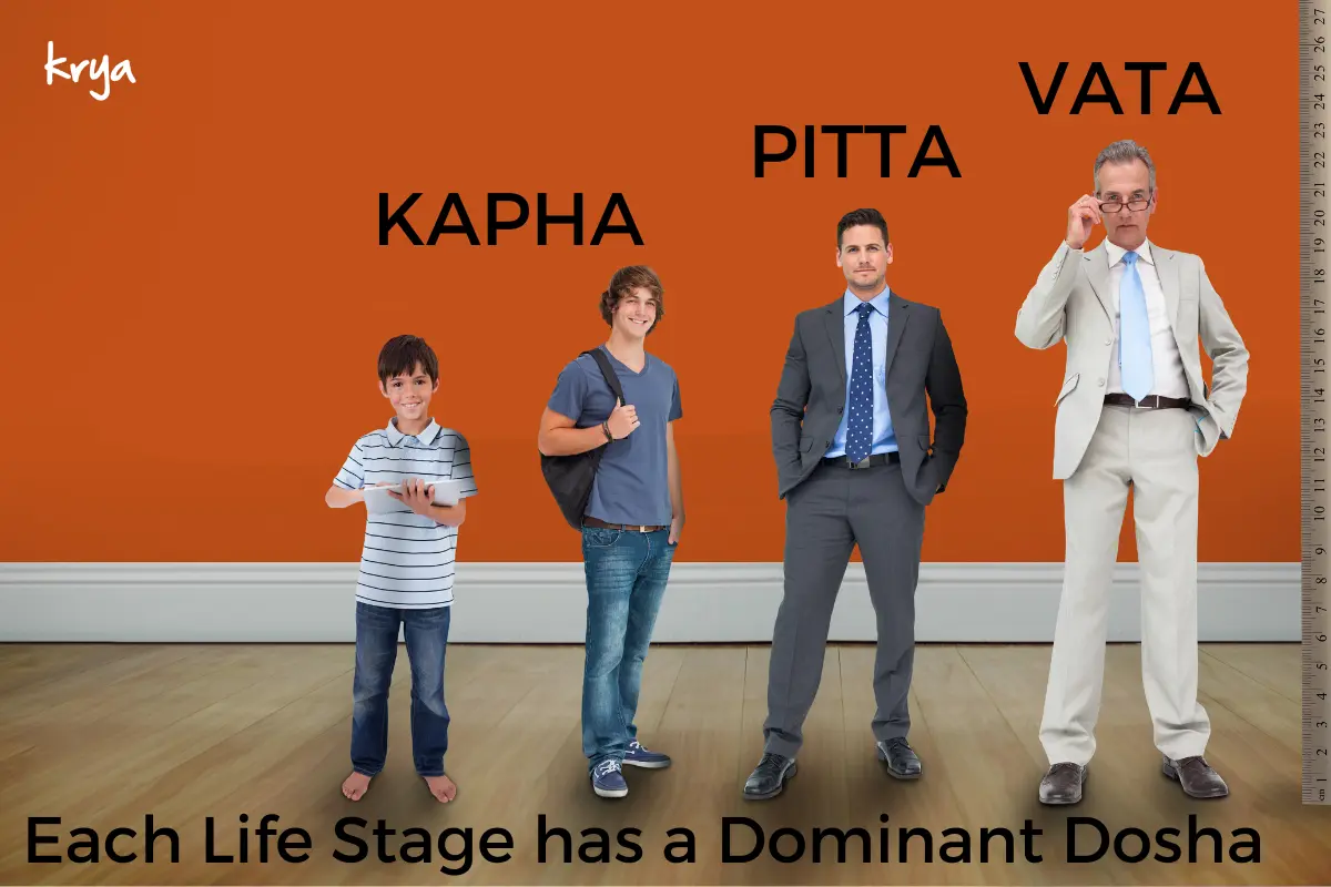 dominant dosha of each life stage